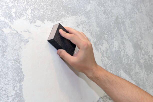 Best Black Mold Removal  in Lyons, OR