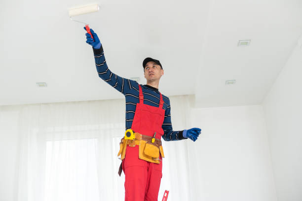Biohazard Mold Removal in Lyons, OR