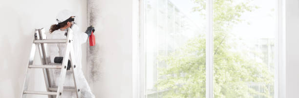 Best Mold Remediation for Rental Properties  in Lyons, OR