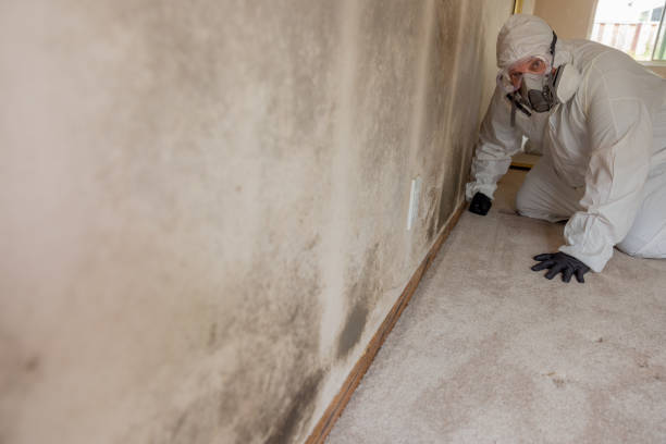 Best Mold-Related Health Consultation  in Lyons, OR