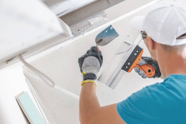 Reliable Lyons, OR Mold Removal Solutions